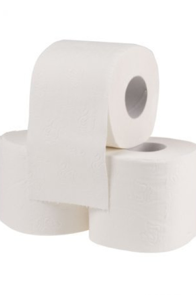 toilet paper 250 sheets, 2 ply,